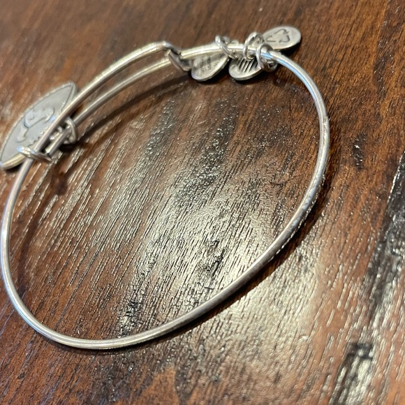 Alex and Ani Texans Bracelet - Picture 4 of 4